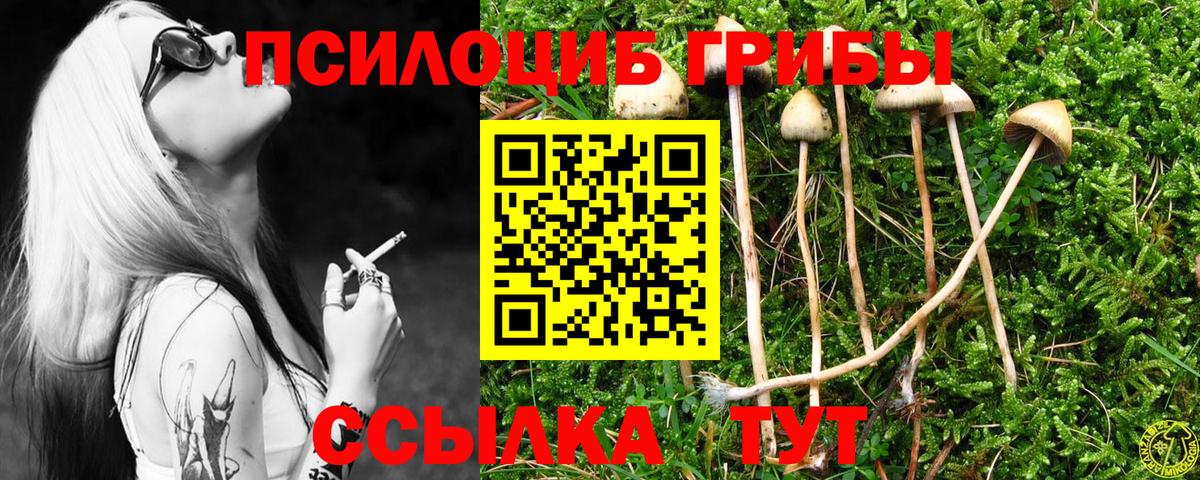Псилоцибиновые грибы мухоморы  Вход с VPN  Галлюциногенные грибы Psilocybine cubensis  Биробиджан 